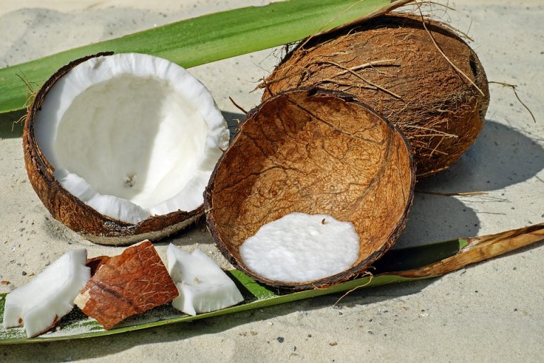 Caprylsäure kommt in der Kokosnuss vor